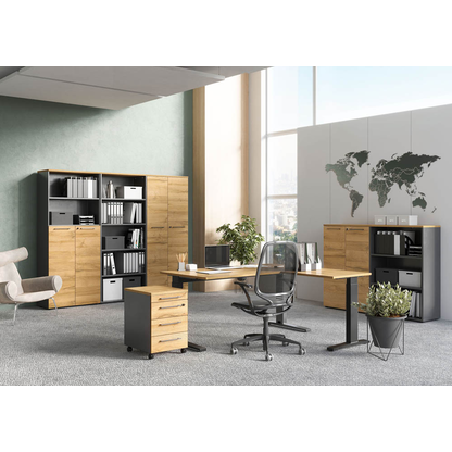 Artikelbild 5 für GERMANIA Aktenschrank Agenda Home, 4237-564 grafit, grandson-eiche 4 Fachböden 80,0 x 40,0 x 197,0 cm, Artikelnummer 121701