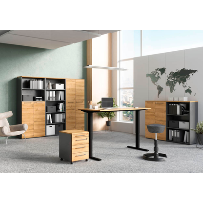 Artikelbild 6 für GERMANIA Aktenschrank Agenda Home, 4237-564 grafit, grandson-eiche 4 Fachböden 80,0 x 40,0 x 197,0 cm, Artikelnummer 121701