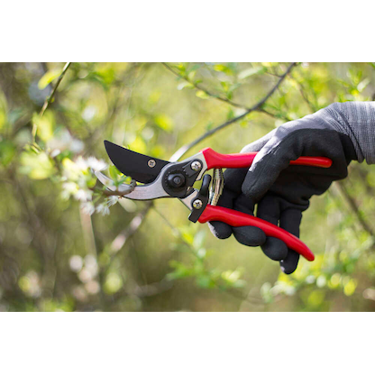 Artikelbild 3 für CONNEX Bypass Basic Gartenschere, Artikelnummer 743704