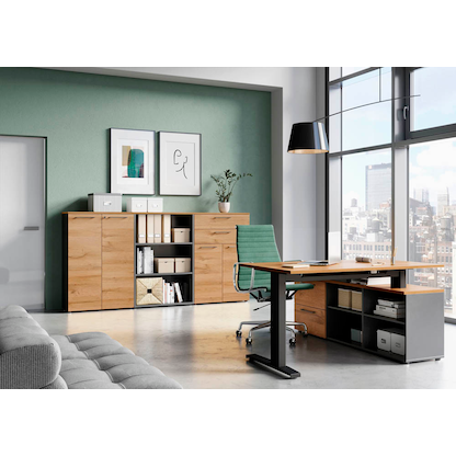 Artikelbild 8 für GERMANIA Aktenschrank Agenda Home, 4237-564 grafit, grandson-eiche 4 Fachböden 80,0 x 40,0 x 197,0 cm, Artikelnummer 121701