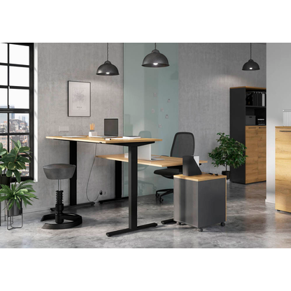 Artikelbild 7 für GERMANIA Aktenschrank Agenda Home, 4237-564 grafit, grandson-eiche 4 Fachböden 80,0 x 40,0 x 197,0 cm, Artikelnummer 121701