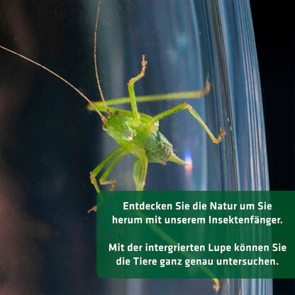 Artikelbild 3 für GARDIGO Insektenfänger weiß, grün, 1 St., Artikelnummer 796787