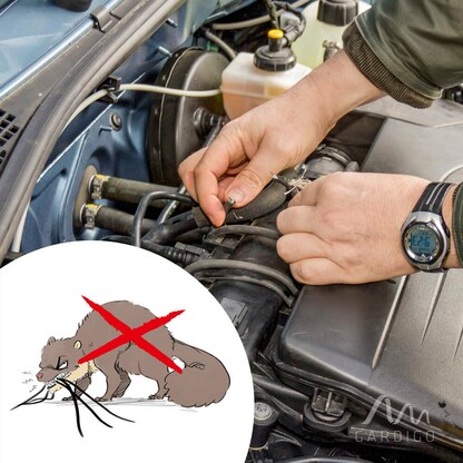 Artikelbild 3 für GARDIGO Marder-Matte Tierabwehrmittel, Artikelnummer 796929