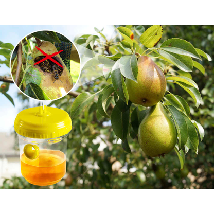 Artikelbild 3 für GARDIGO Wespenfalle gelb, 2 St., Artikelnummer 796959