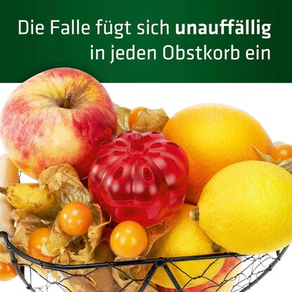Artikelbild 4 für GARDIGO Fruchtfliegenfalle orange, 2 St., Artikelnummer 796879