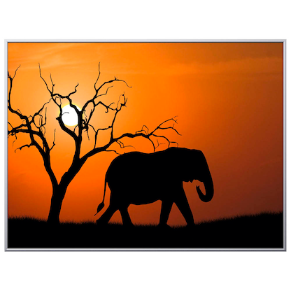 Artikelbild für PAPERFLOW Wandbild Elefant, Aluminium, Kunstglas, Artikelnummer 429220