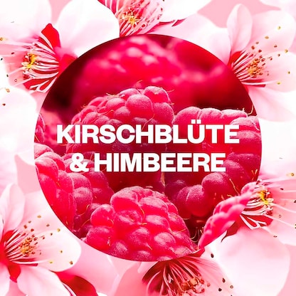 Artikelbild 5 für AIRWICK Duftstecker STARTER SET fruchtig 19 ml, 1 St., Artikelnummer 790382