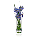 Artikelbild 1 für RONA Vase Ambiente transparent, 1 St., Artikelnummer 630077