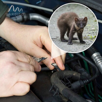 Artikelbild 5 für GARDIGO Marder-Frei Indoor LED Tierabwehrmittel, Artikelnummer 796769