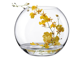 Artikelbild 1 für RONA Vase Ambiente transparent, 1 St., Artikelnummer 630109