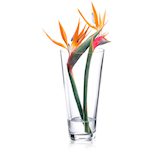 Artikelbild 1 für RONA Vase Ambiente transparent, 1 St., Artikelnummer 630051