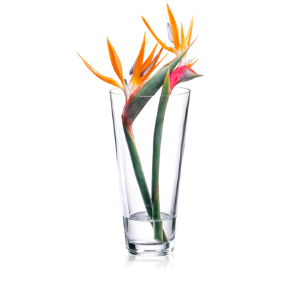 Artikelbild für RONA Vase Ambiente transparent, 1 St., Artikelnummer 630051