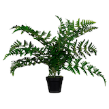 Artikelbild 1 für meet powered by PAPERFLOW FARN Kunstpflanze 55,0 cm, Artikelnummer 521699