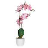 Artikelbild 1 für meet powered by PAPERFLOW ORCHIDEE Kunstpflanze 50,0 cm, Artikelnummer 521704