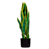 Artikelbild 1 für meet powered by PAPERFLOW SANSEVIERIA Kunstpflanze 65,0 cm, Artikelnummer 521809