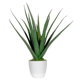 Artikelbild 1 für meet powered by PAPERFLOW ALOE VERA Kunstpflanze 45,0 cm, Artikelnummer 521787
