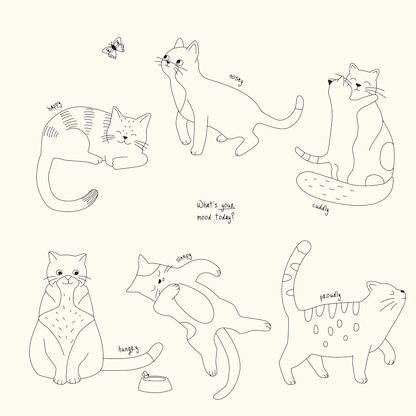 Artikelbild 15 für folia Me time Malbuch, 20 St., Artikelnummer 963433