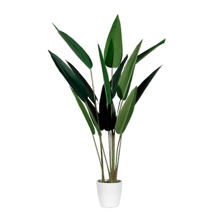 Artikelbild 2 für meet powered by PAPERFLOW PARADIESVOGELBLUME Kunstpflanze 140,0 cm, Artikelnummer 521464