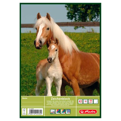 Artikelbild 5 für herlitz Zeichenblock DIN A3 100 g/qm, 10 Blatt, 1 Block, Artikelnummer 792808