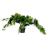 Artikelbild 1 für meet powered by PAPERFLOW EFEU Kunstpflanze 80,0 cm, Artikelnummer 521457