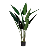 Artikelbild 1 für meet powered by PAPERFLOW PARADIESVOGELBLUME Kunstpflanze 140,0 cm, Artikelnummer 521464