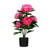 Artikelbild 1 für meet powered by PAPERFLOW PFINGSTROSE Kunstpflanze 55,0 cm, Artikelnummer 521494