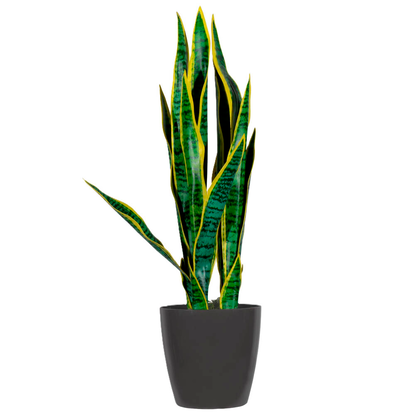 meet powered by PAPERFLOW SANSEVIERIA Kunstpflanze 65,0 cm | office discount