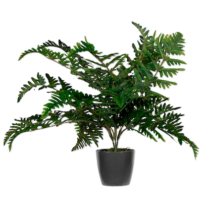 Artikelbild 3 für meet powered by PAPERFLOW FARN Kunstpflanze 55,0 cm, Artikelnummer 521699