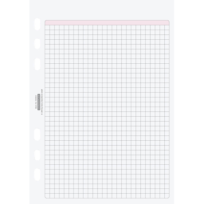 Artikelbild 2 für CHRONOPLAN Ringbuch-Ergänzungsblätter kariert A5, 50 Blatt, Artikelnummer 362616