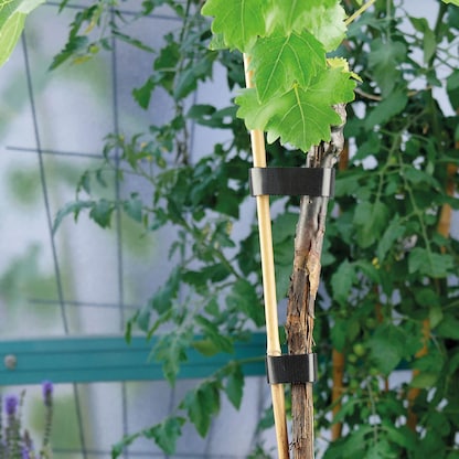 Artikelbild 7 für LABEL THE CABLE Klettband ROLL STRAP schwarz 3,0 m x 1,6 cm, 1 St., Artikelnummer 858522