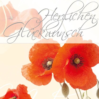 Artikelbild 3 für SIGEL Glückwunschkarten Mohnblumen DS003 DIN A6, 10 St., Artikelnummer 157099