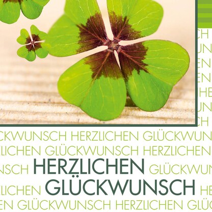 Artikelbild 3 für SIGEL Glückwunschkarten Kleeblatt DS004 DIN A6, 10 St., Artikelnummer 158808