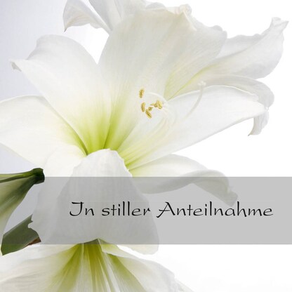 Artikelbild 3 für SIGEL Trauerkarten weiße Amaryllis DS006 DIN A6, 10 St., Artikelnummer 158394