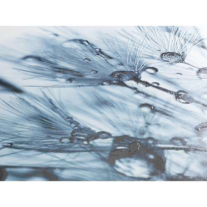 Artikelbild 4 für WENKO WC-Sitz mit Absenkautomatik Sereno blau, 1 St., Artikelnummer 813594