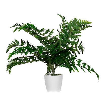 Artikelbild 2 für meet powered by PAPERFLOW FARN Kunstpflanze 55,0 cm, Artikelnummer 521699