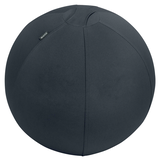 Artikelbild 1 für LEITZ Ergo Active Sitzball dunkelgrau 65,0 cm, Artikelnummer 998702