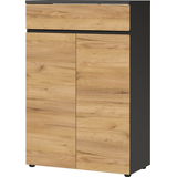 Artikelbild 1 für GERMANIA Aktenschrank Lissabon, 4265-549 grafit 2 Fachböden 80,0 x 40,0 x 120,0 cm, Artikelnummer 881621