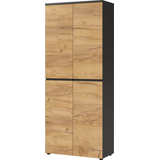 Artikelbild 1 für GERMANIA Aktenschrank Lissabon, 4266-549 grafit 4 Fachböden 80,0 x 40,0 x 197,0 cm, Artikelnummer 881633