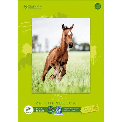 Artikelbild 2 für Edition Dürer Zeichenblock green DIN A3 100 g/qm, 18 Blatt, 1 Block, Artikelnummer 421523