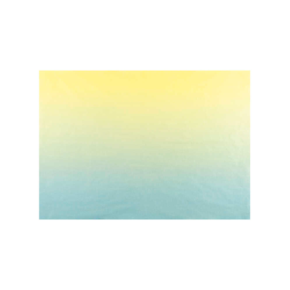 Artikelbild 5 für folia Seidenpapier Blumenseide SHADES OF RAINBOWS mehrfarbig, 50,0 x 70,0 cm, Artikelnummer 775949