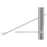 Artikelbild 1 für fixPOINT Kabelbinder transparent 20,0 cm x 2,5 mm, 100 St., Artikelnummer 582726