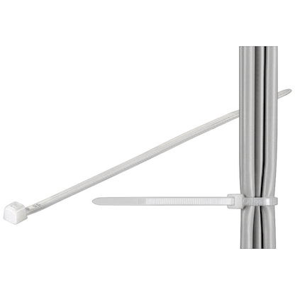 Artikelbild für fixPOINT Kabelbinder transparent 20,0 cm x 2,5 mm, 100 St., Artikelnummer 582726