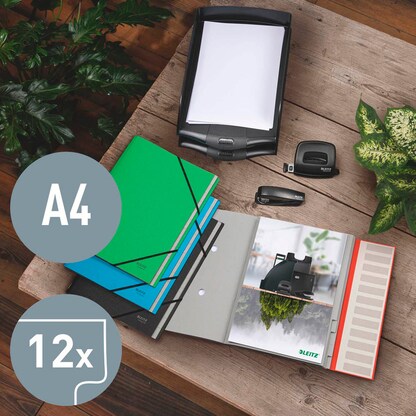 Artikelbild 7 für LEITZ Ordnungsmappe recycle 3915 12 Fächer grün, 1 St., Artikelnummer 854584