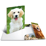 Artikelbild 1 für HERMA Sammelmappen DIN A4 Hunde, 3 St., Artikelnummer 555163