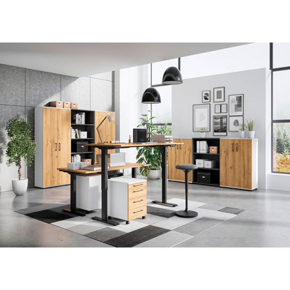 Artikelbild 12 für GERMANIA Aktenschrank Profi 3.0, 4250-559 weiß, grandson-eiche 4 Fachböden 80,0 x 40,0 x 200,0 cm, Artikelnummer 386338