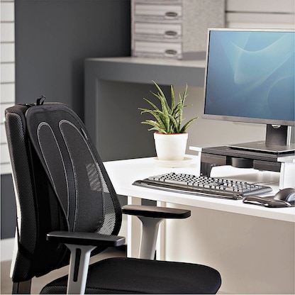 Artikelbild 7 für Fellowes Office Suites Rückenstütze für Bürostuhl verstellbar schwarz für Bürostühle, 1 St., Artikelnummer 354037