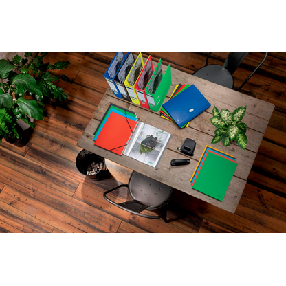 Artikelbild 12 für LEITZ Ordnungsmappe recycle 3915 12 Fächer grün, 1 St., Artikelnummer 854584