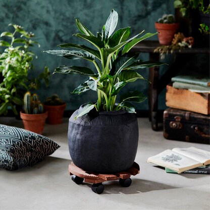 Artikelbild 6 für WAGNER® design yourself Pflanzenroller COUNTRY GH 0183 Holz, Ø 30,0 cm dunkelbraun rund, 1 St., Artikelnummer 419954