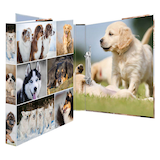 Artikelbild 1 für HERMA Animals Hunde Ringbuch 2-Ringe Motiv 3,5 cm DIN A4, 1 St., Artikelnummer 278301
