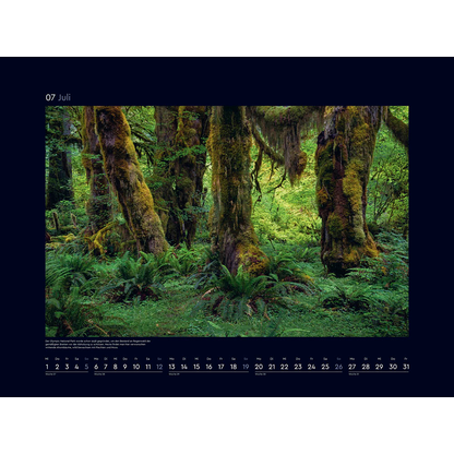 Artikelbild 8 für KUNTH Monats-Wandkalender Farben der Erde 2026, 1 St., Artikelnummer 575698